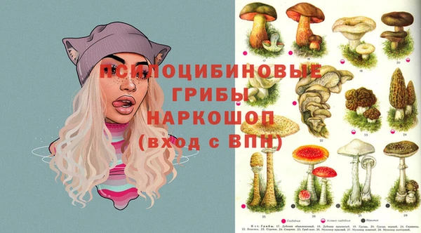 бутират Абаза
