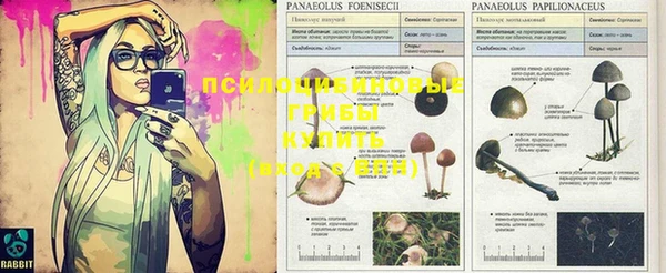 MESCALINE Абинск