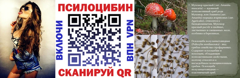 Псилоцибиновые грибы Magic Shrooms  купить закладку  Адыгейск 
